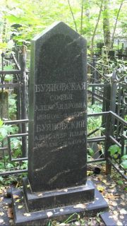Буяновский Александр Ильич, Москва, Востряковское кладбище