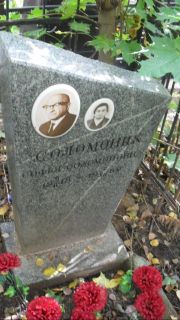 Соломоник Софья Соломоновна, Москва, Востряковское кладбище