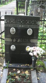 Туник Зиновий Максимович, Москва, Востряковское кладбище