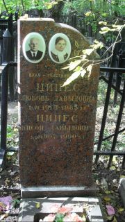 Ципес Любовь Давыдовна, Москва, Востряковское кладбище