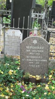 Кузнецов Константин Михайлович, Москва, Востряковское кладбище