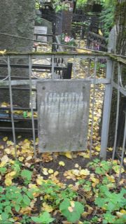 Гольдентул Давид Маркович, Москва, Востряковское кладбище