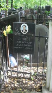 Левин Александр Давидович, Москва, Востряковское кладбище