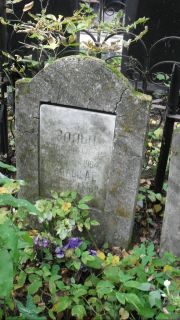 Зальц Хана Янкелевна, Москва, Востряковское кладбище