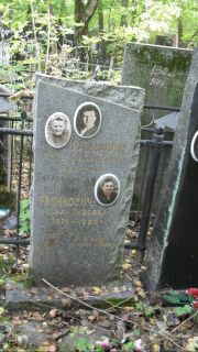 Рабинович Яков Семенович, Москва, Востряковское кладбище