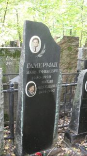 Гамерман Яков Ефимович, Москва, Востряковское кладбище