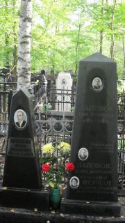 Лаповок Иосиф Давыдович, Москва, Востряковское кладбище