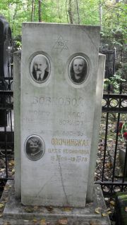 Опочинская Циля Иосифовна, Москва, Востряковское кладбище