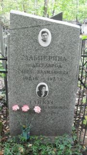 Гальперина-Аксельрод Сарра Залмановна, Москва, Востряковское кладбище