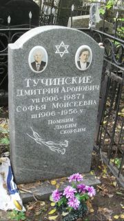 Турчинский Дмитрий Аронович, Москва, Востряковское кладбище