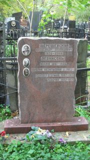 Левинсон Иосиф , Москва, Востряковское кладбище