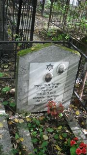 Рейзер Израиль Исаевич, Москва, Востряковское кладбище