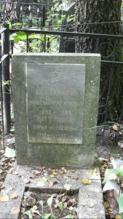 Виткина Мария Менедлевна, Москва, Востряковское кладбище