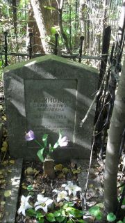 Рабинович Сарра-Фейга Янкелевна, Москва, Востряковское кладбище