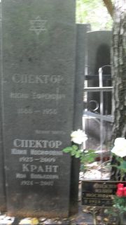 Спектор Иосиф Ефимович, Москва, Востряковское кладбище