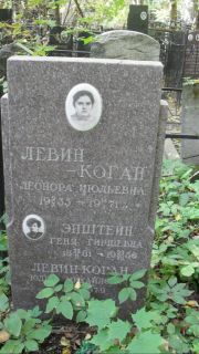 Левин-Коган Леонора Июльевна, Москва, Востряковское кладбище