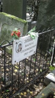 Эльбер Маркус Соломонович, Москва, Востряковское кладбище