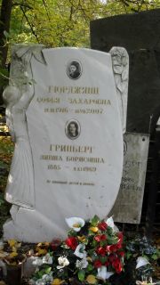 Гринберг Ливша Борисович, Москва, Востряковское кладбище