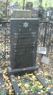 Каган Маня Шмулевна, Москва, Востряковское кладбище
