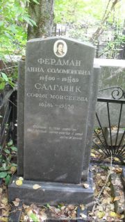 Салганик Софья Моисеевна, Москва, Востряковское кладбище