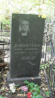 Вайнштейн Софья Зусимовна, Москва, Востряковское кладбище