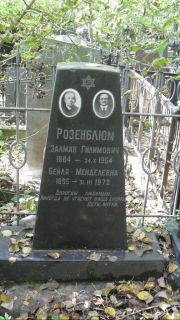 Розенблюм Залман Гилимович, Москва, Востряковское кладбище