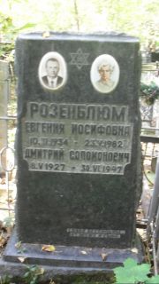 Розенблюм Евгения Иосифовна, Москва, Востряковское кладбище