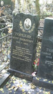 Горелик Меер Яковлевич, Москва, Востряковское кладбище