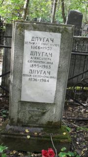 Длугач Зельман Янкелевич, Москва, Востряковское кладбище