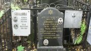 Гольдин Семен Львович, Москва, Востряковское кладбище