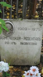Каменецкая-Розенталь Рахиль Яковлевна, Москва, Востряковское кладбище