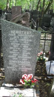 Нейштадт Илья Моисеевич, Москва, Востряковское кладбище