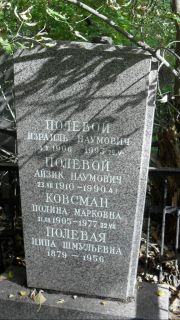 Полевой Израиль Наумович, Москва, Востряковское кладбище
