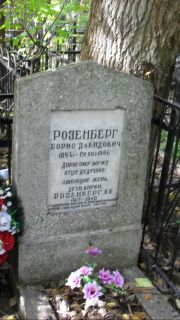 Розенбег Борис Давидович, Москва, Востряковское кладбище