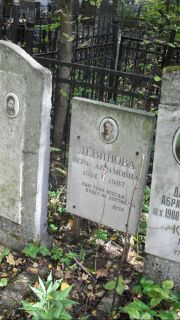 Левинова Вера Абрамовна, Москва, Востряковское кладбище