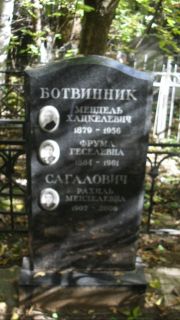Ботвинник Фрума Геселевна, Москва, Востряковское кладбище