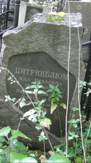 Цитринблюм Ида Павловна, Москва, Востряковское кладбище
