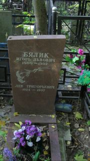 Бялик Игорь Львович, Москва, Востряковское кладбище