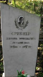 Срибнер Любовь Моисеевна, Москва, Востряковское кладбище