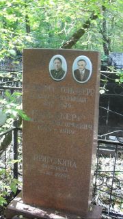 Гольдберг Самуил Григорьевич, Москва, Востряковское кладбище
