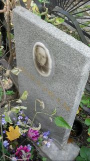 Эйдензон С. М., Москва, Востряковское кладбище
