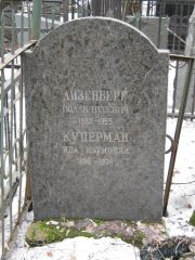 Айзенберг Исаак Нусевич, Москва, Востряковское кладбище