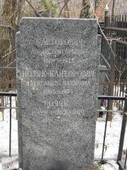 Канторович Абрам Григорьевич, Москва, Востряковское кладбище