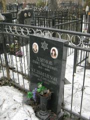 Азимов Давид Михайлович, Москва, Востряковское кладбище