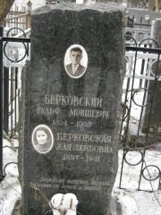 Берковский Вульф Мовшевич, Москва, Востряковское кладбище