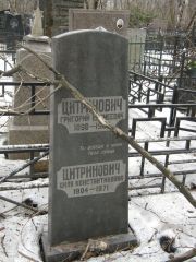 Цитринович Григорий Еремеевич, Москва, Востряковское кладбище
