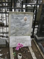 Малкина София Андреевна, Москва, Востряковское кладбище