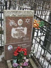 Шварц Хана Соломоновна, Москва, Востряковское кладбище