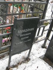 Майданик Александра Цалевна, Москва, Востряковское кладбище