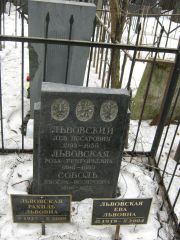 Львовский Лев Иссарович, Москва, Востряковское кладбище
